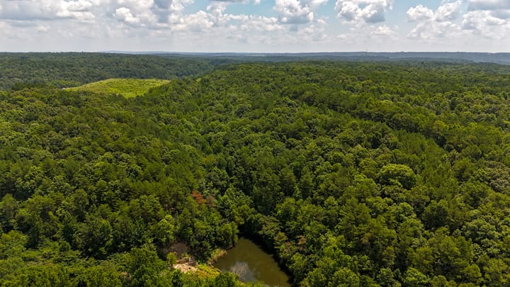 Compass South Land Sales Alabama Mulberry Fork 21