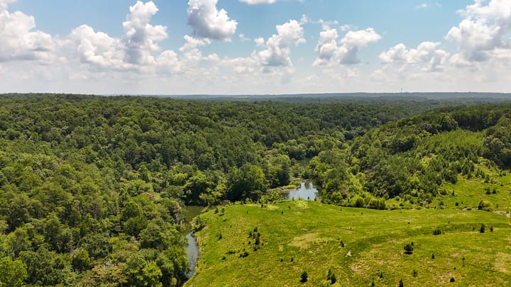 Compass South Land Sales Alabama Mulberry Fork 25