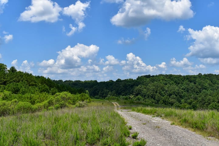 Compass South Land Sales Alabama Mulberry Fork 05