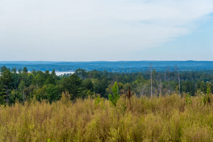 Compass South Land Sales Liberty Hill