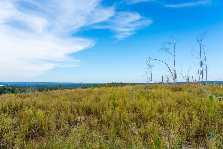 Compass South Land Sales Liberty Hill