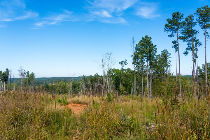 Compass South Land Sales Liberty Hill