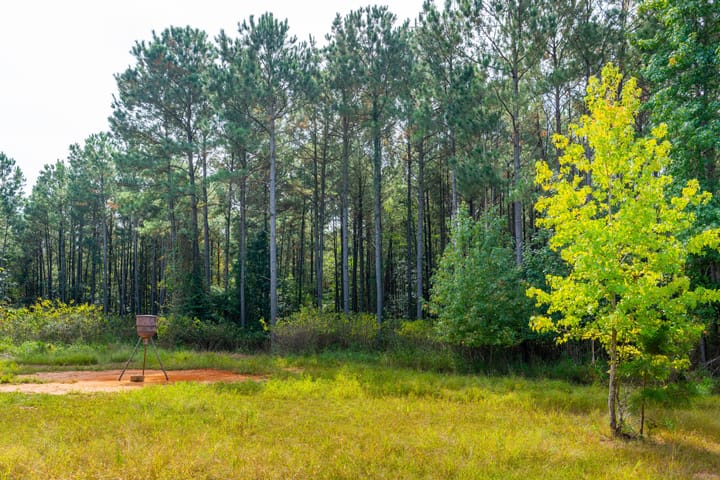 Compass South Land Sales Liberty Hill