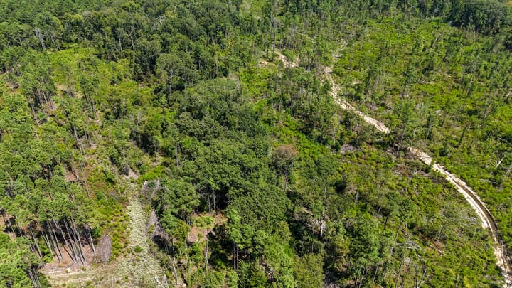 Compass South Land Sales Locust Bayou 10