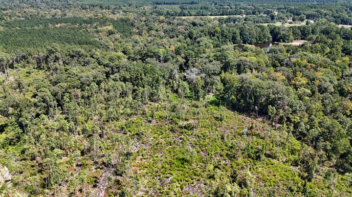 Compass South Land Sales Locust Bayou 12