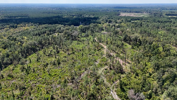 Compass South Land Sales Locust Bayou 11