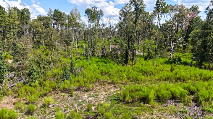 Compass South Land Sales Locust Bayou 06