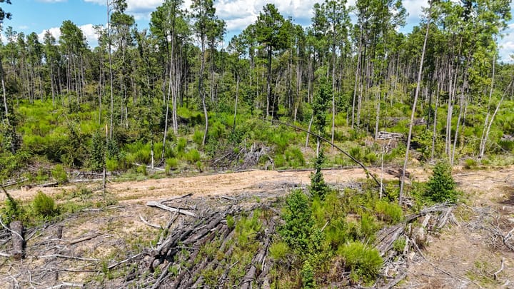 Compass South Land Sales Locust Bayou 05