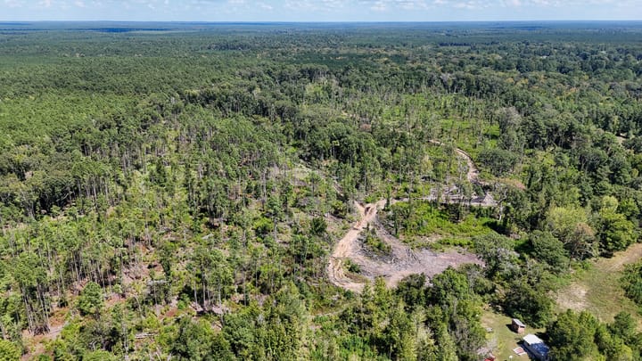 Compass South Land Sales Locust Bayou 09