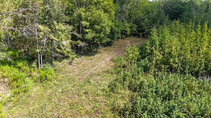 Compass South Land Sales Locust Bayou 07