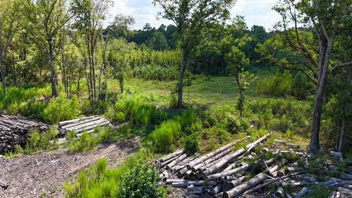 Compass South Land Sales Locust Bayou 04
