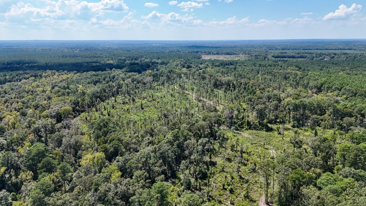 Compass South Land Sales Locust Bayou 13