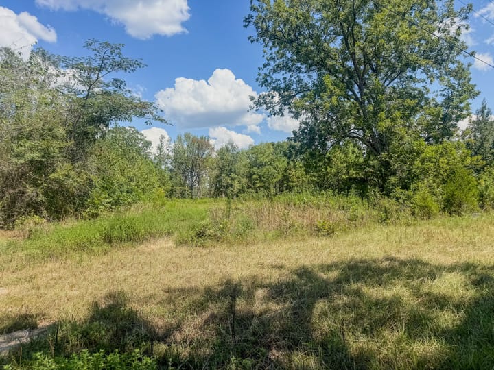 Compass South Land Sales Locust Bayou 03