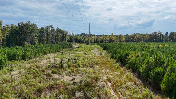 Compass South Land Sales Arkansas Princeton Pike 08
