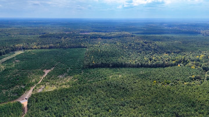 Compass South Land Sales Arkansas Princeton Pike 15