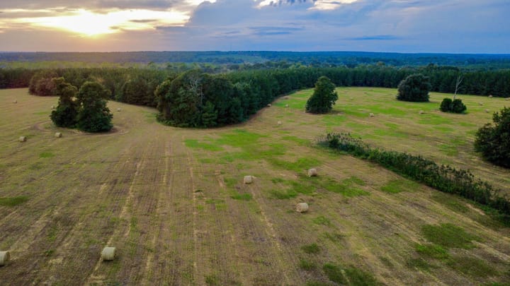 Compass South Land Sales Hunter Branch 31