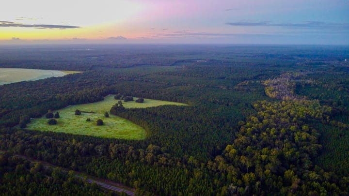 Compass South Land Sales Hunter Branch 01