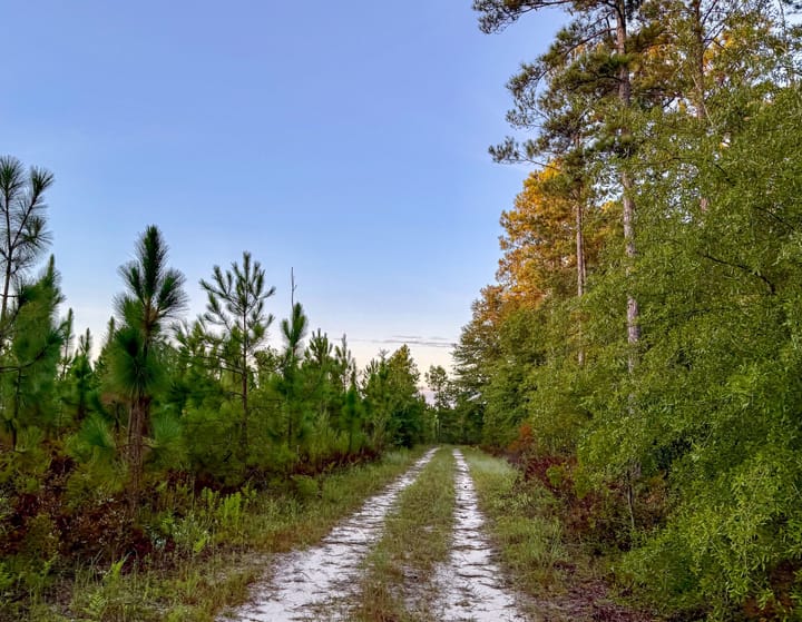 Compass South Land Sales Hunter Branch 07