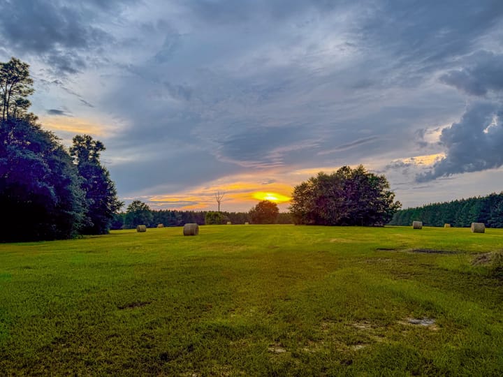 Compass South Land Sales Hunter Branch 13