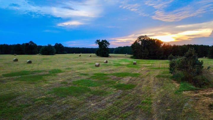 Compass South Land Sales Hunter Branch 37