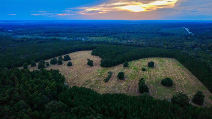 Compass South Land Sales Hunter Branch 44