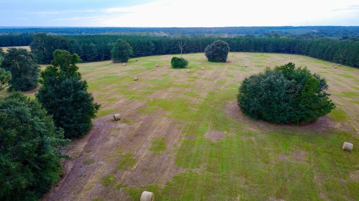 Compass South Land Sales Hunter Branch 16