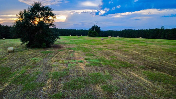 Compass South Land Sales Hunter Branch 36