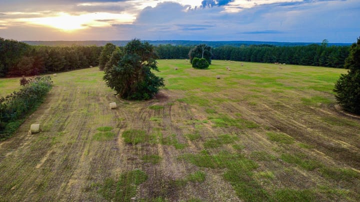 Compass South Land Sales Hunter Branch 30