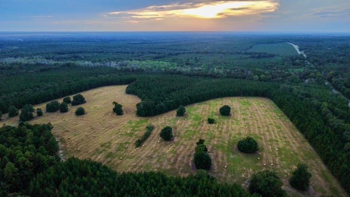 Compass South Land Sales Hunter Branch 42