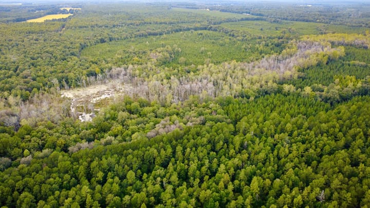 Compass South Land Sales Hunter Branch 18