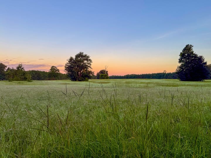 Compass South Land Sales Hunter Branch 12