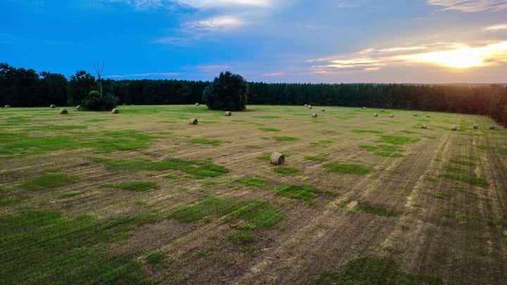 Compass South Land Sales Hunter Branch 33