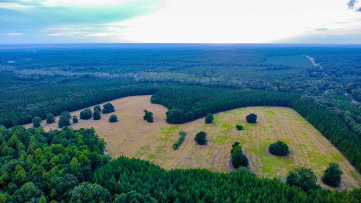 Compass South Land Sales Hunter Branch 43