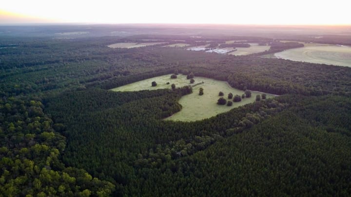 Compass South Land Sales Hunter Branch 49