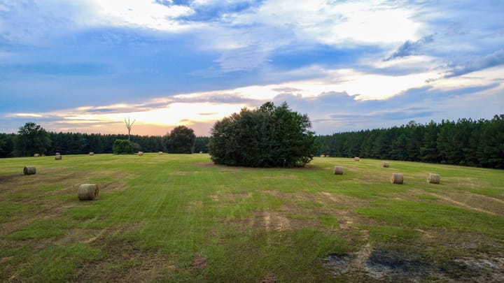 Compass South Land Sales Hunter Branch 15