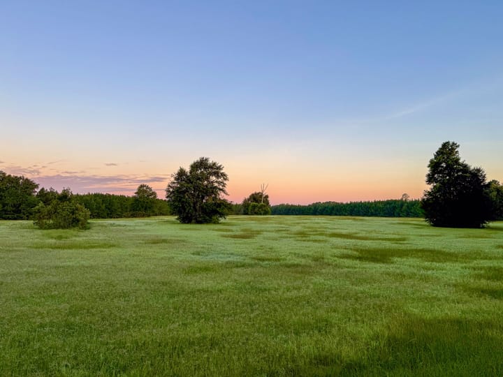 Compass South Land Sales Hunter Branch 11