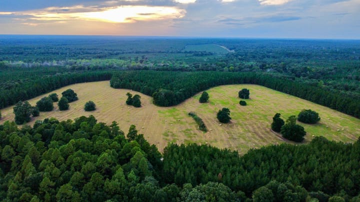 Compass South Land Sales Hunter Branch 41