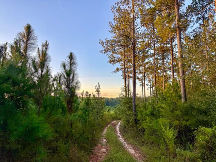 Compass South Land Sales Hunter Branch 05
