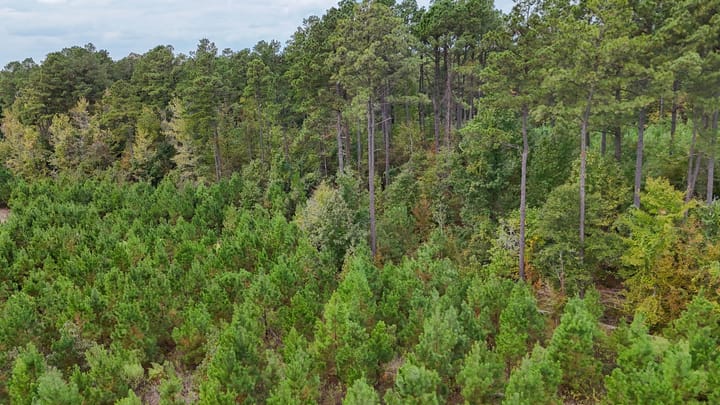 Compass South Land Sales Arkansas Sulphur Springs 12