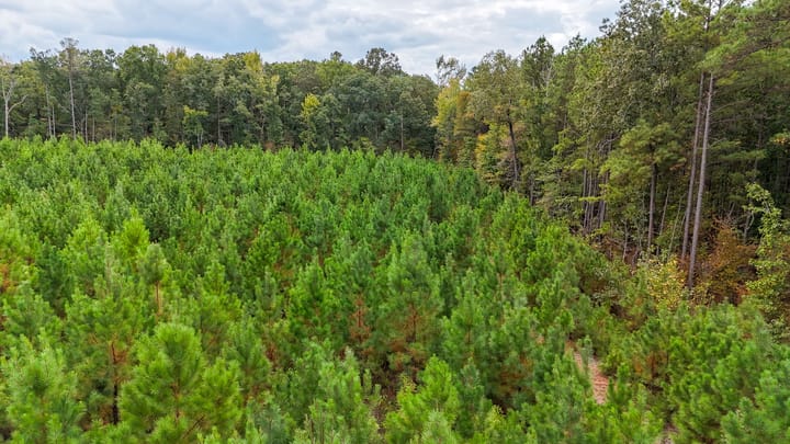 Compass South Land Sales Arkansas Sulphur Springs 13