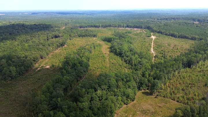 Butler Rd Tract 5 08