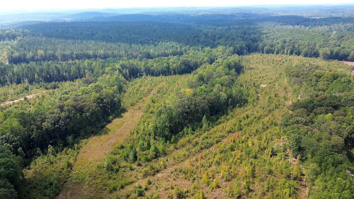 Butler Rd Tract 5 09