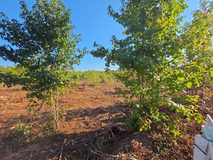 Butler Rd Tract 5 07