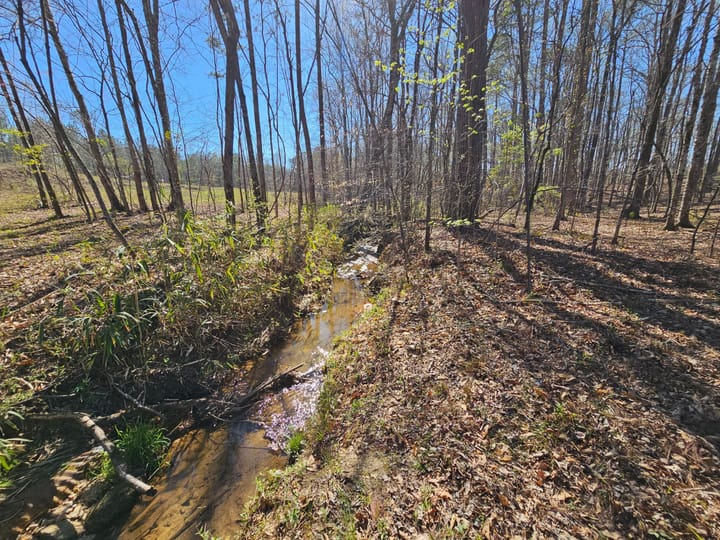 Butler Rd Tract 3 09