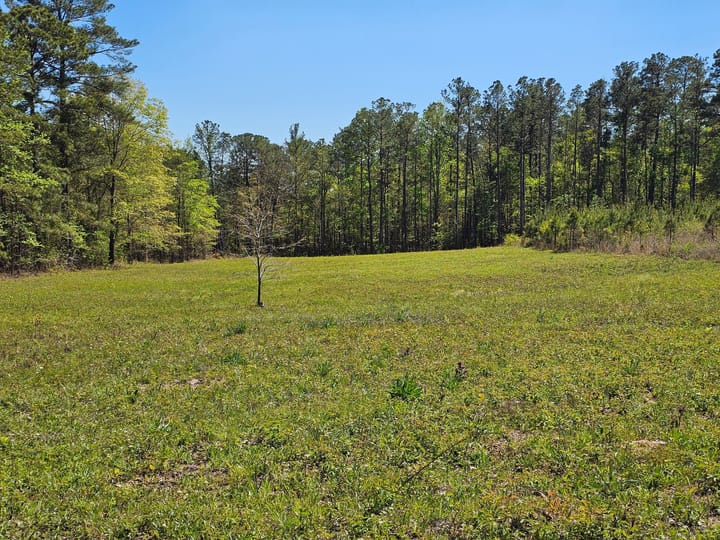 Butler Rd Tract 3 05