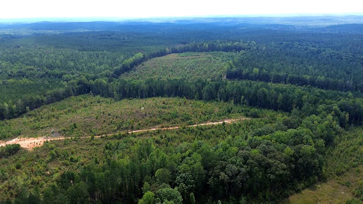 Butler Rd Tract 3 17