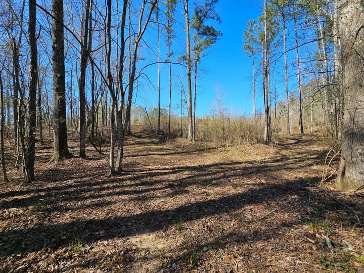 Butler Rd Tract 3 11