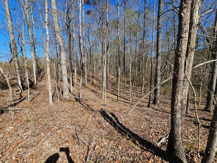 Butler Rd Tract 3 10