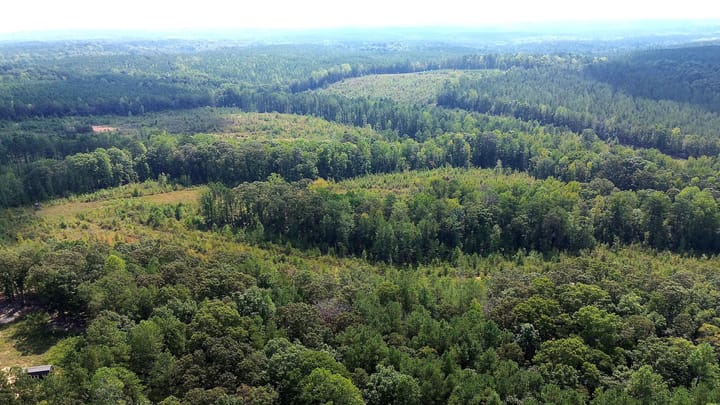 Butler Rd Tract 3 02