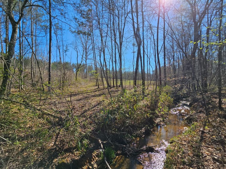 Butler Rd Tract 3 07